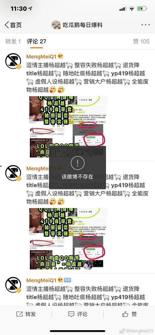 吃瓜鹅每日爆料bts,吃瓜鹅每日爆料，揭秘偶像背后的故事