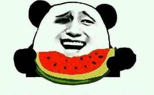 111娱乐吃瓜,揭秘娱乐圈的“吃瓜”盛宴